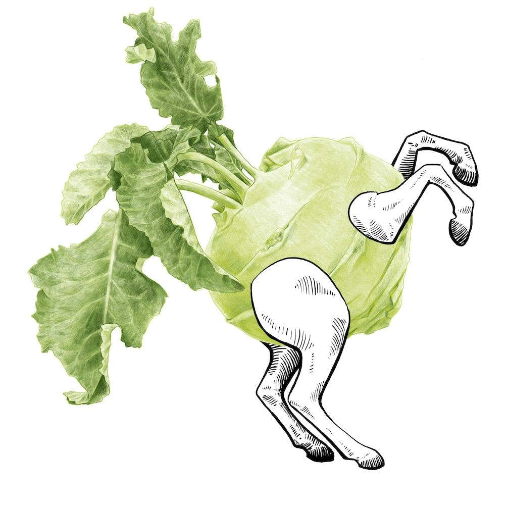 Freak Of Nature 1 Square