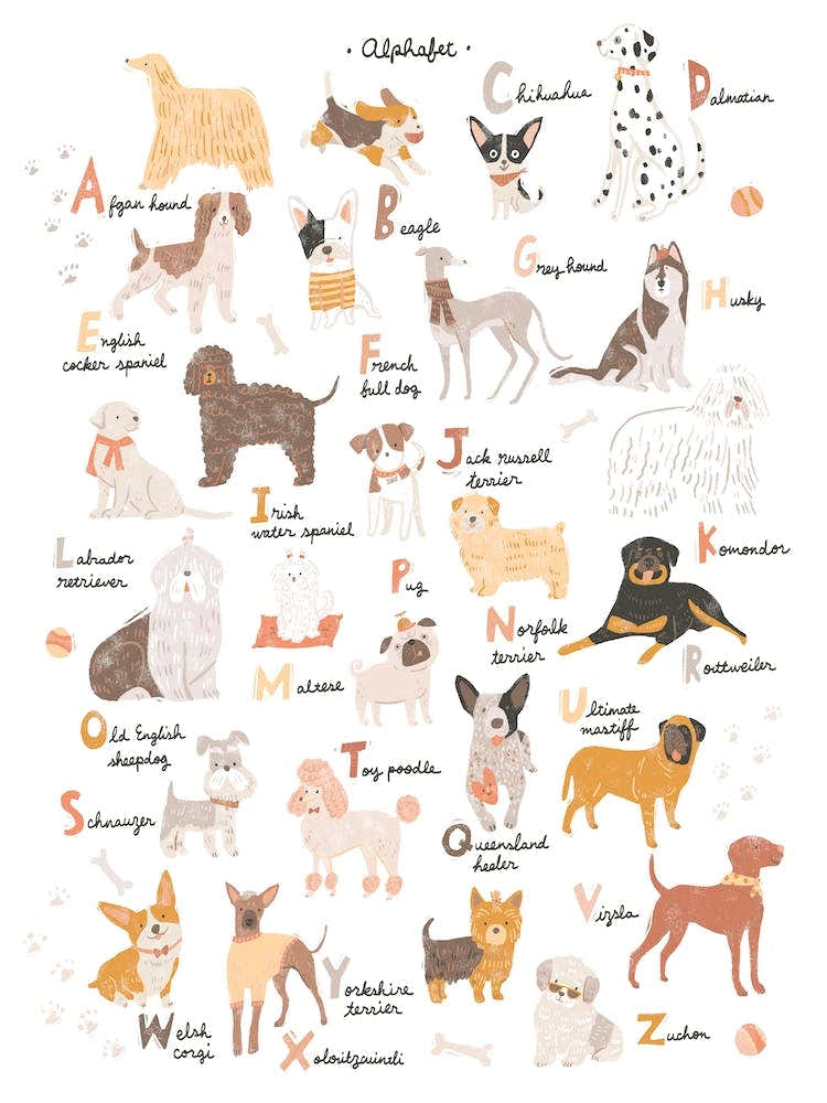 Abc Dogs