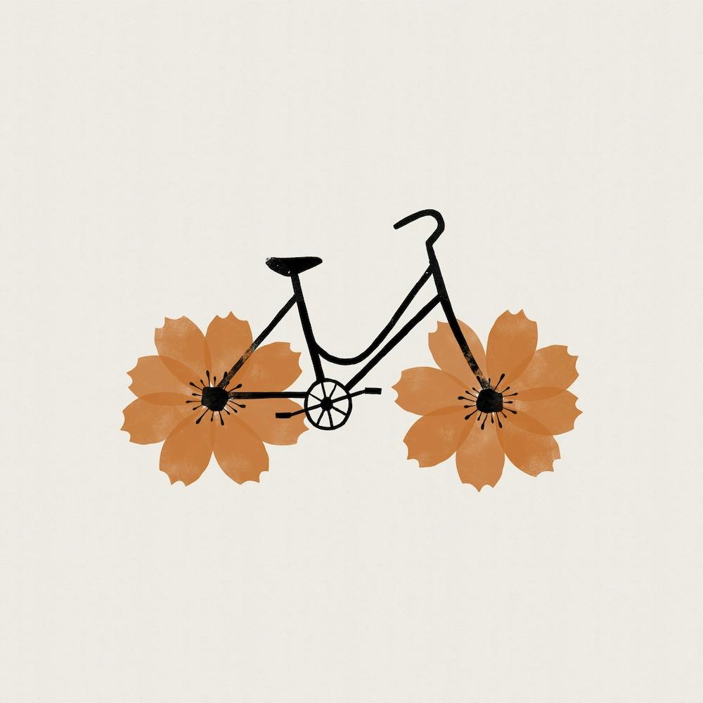 Cosmos Bike Square