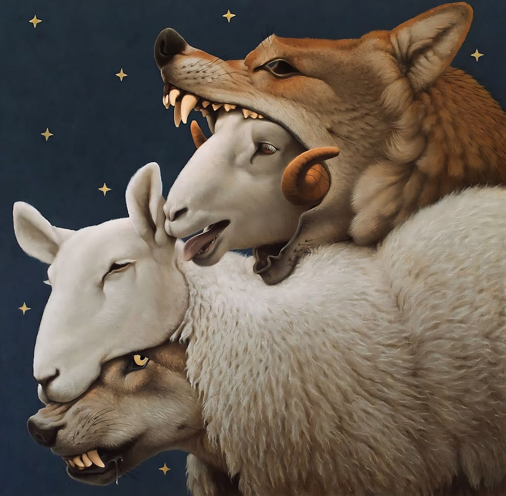 Wolf And Sheep