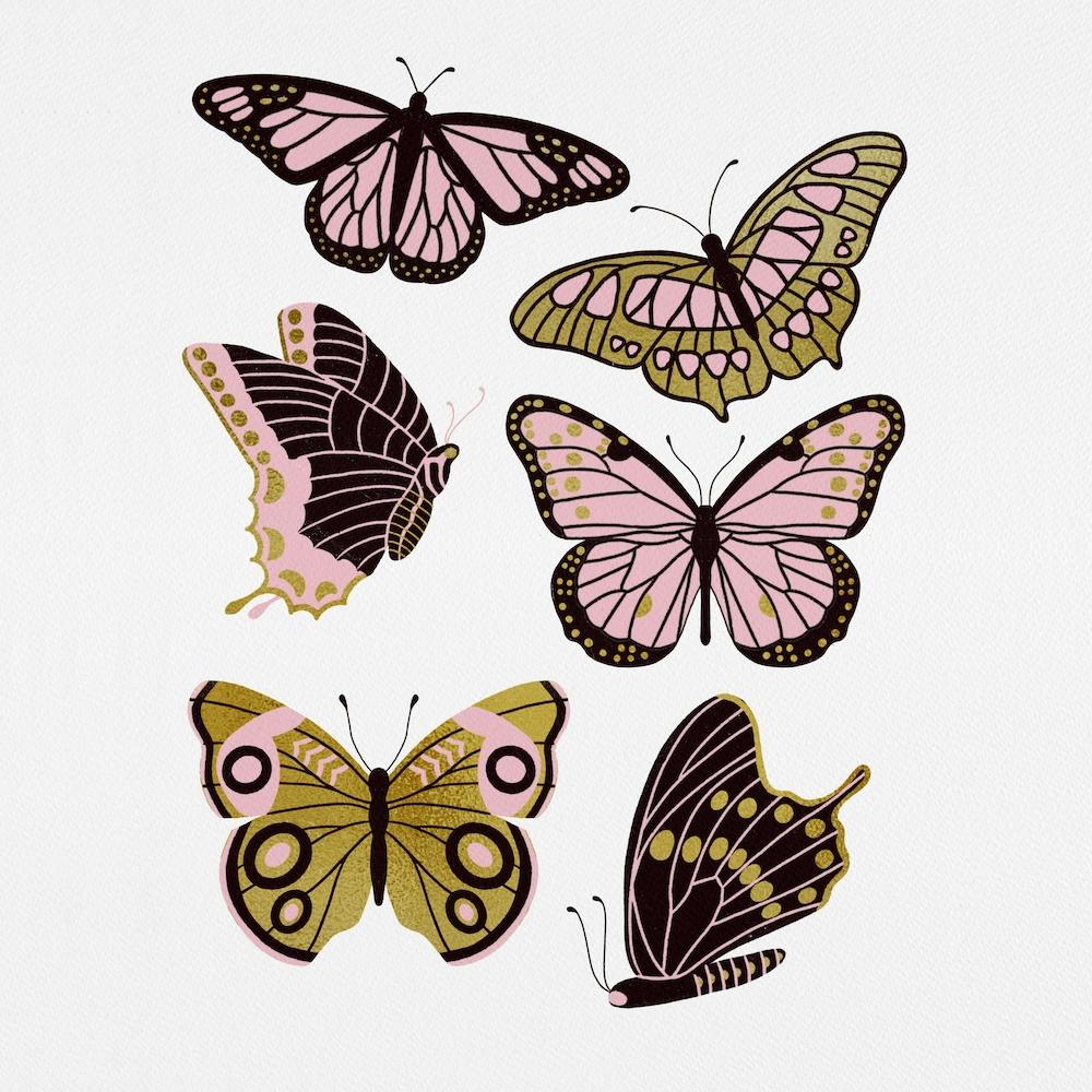 Texas Butterflies   Blush And Gold Square