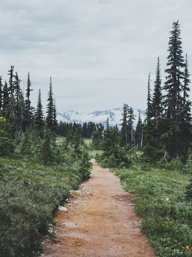 Garibaldi Park Bc VII