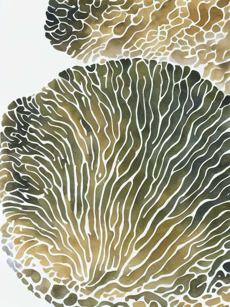Open Brain Coral Vintage Graphic Watercolour