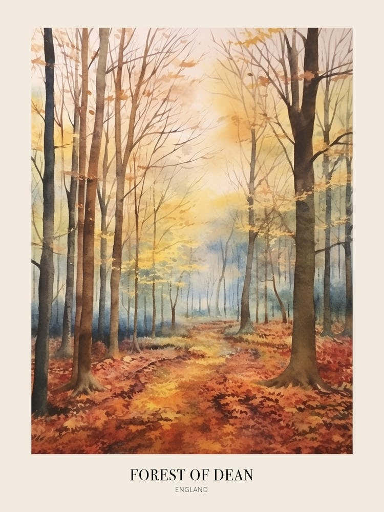 Autumn Forest Landscape Forest Of Dean England 2 Poster