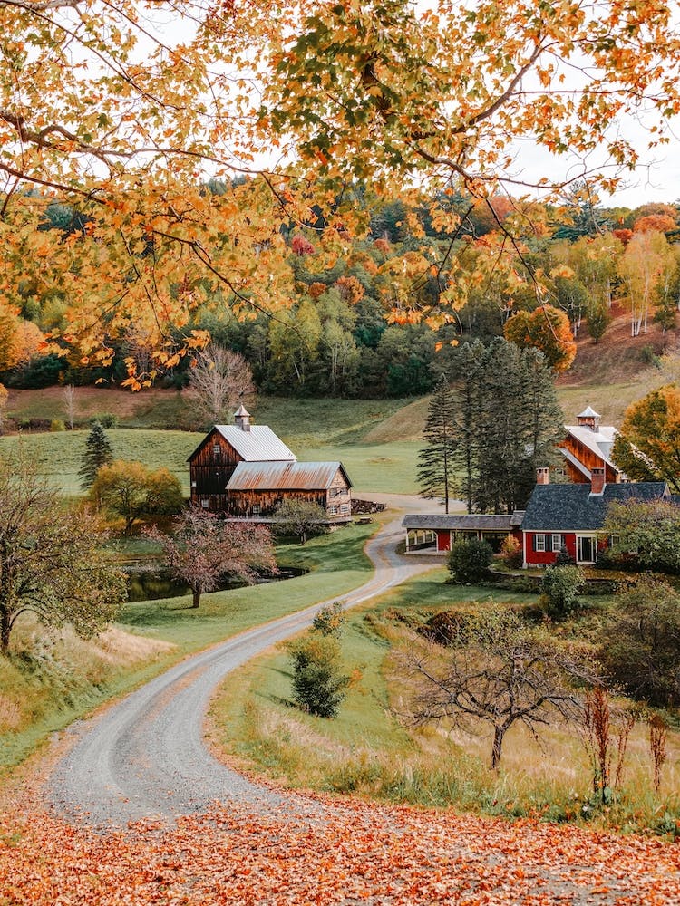 Driveway To Fall Farmstead