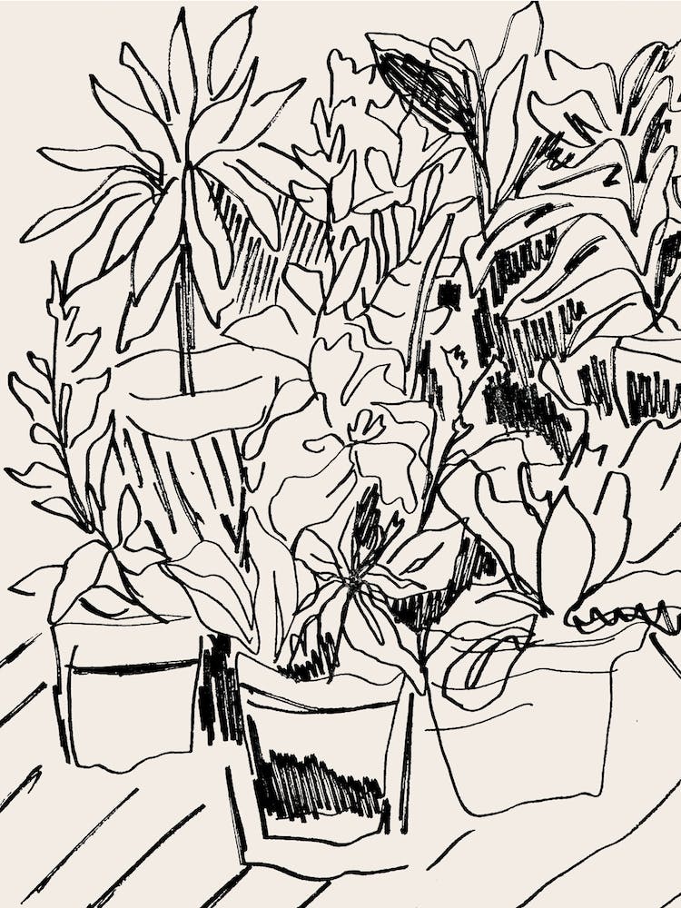 Potted Plants