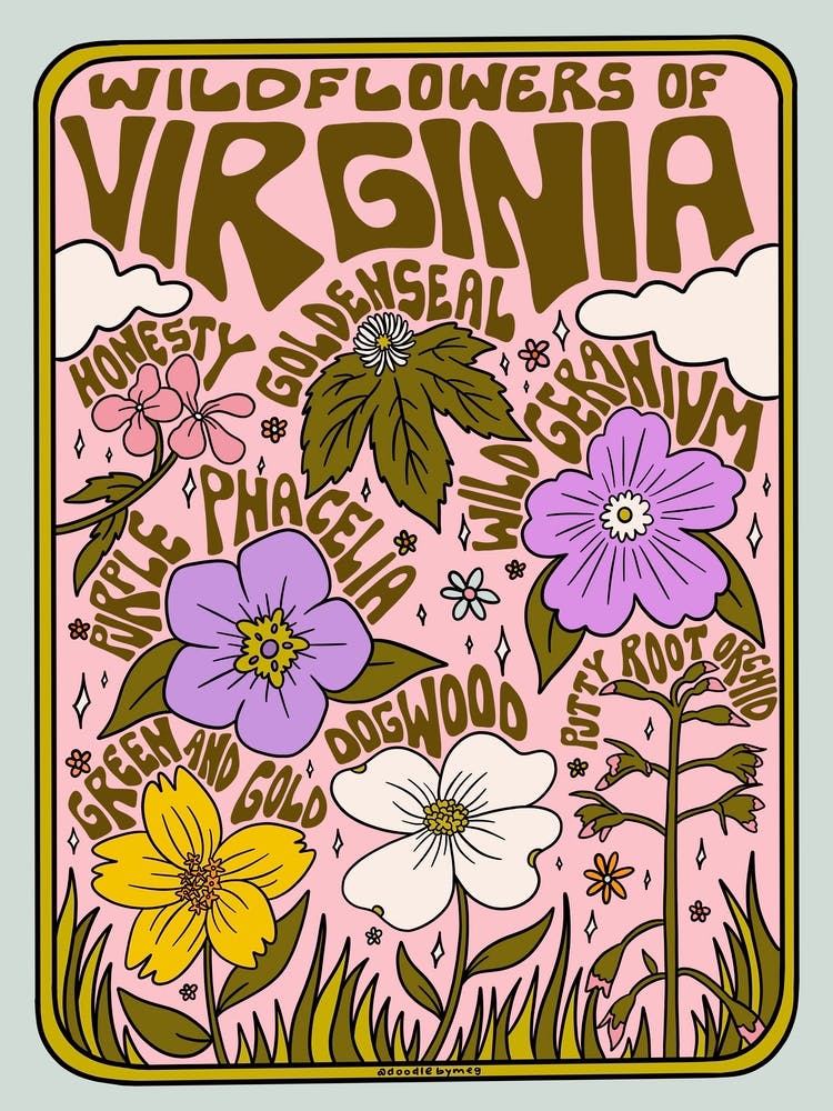 Virginia Wildflowers