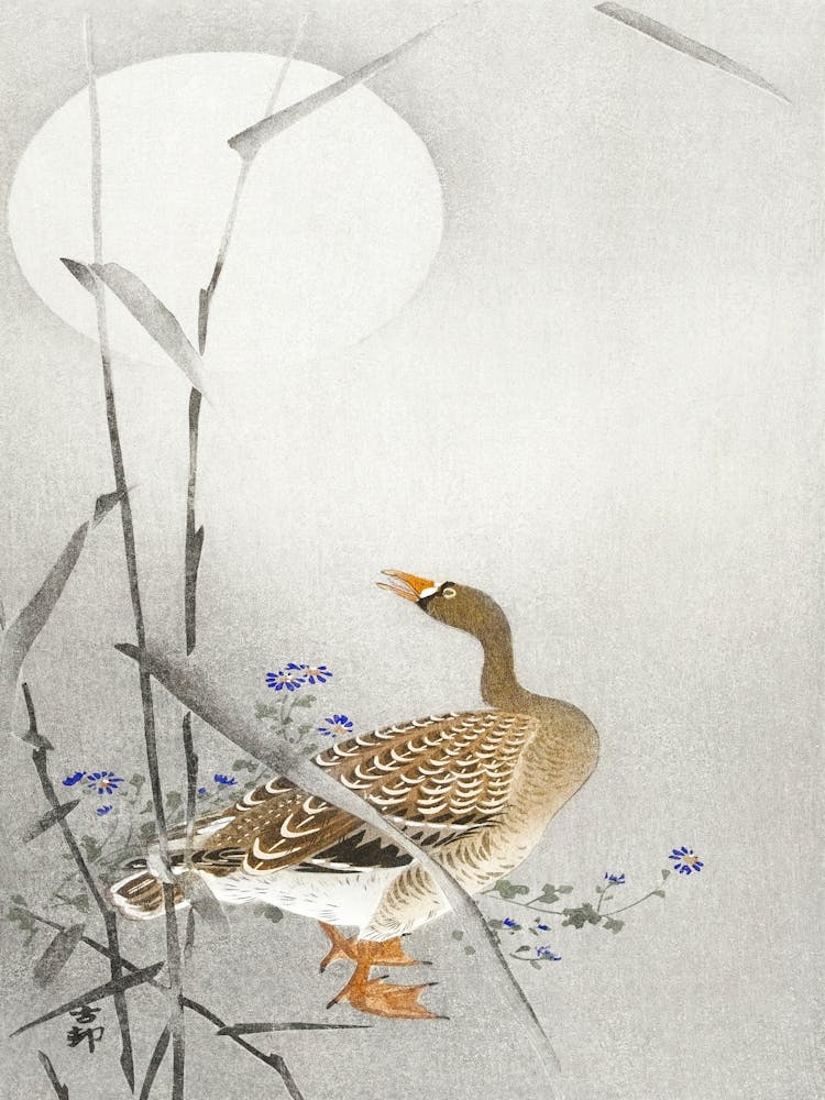 Goose At Full Moon (1900 1936), Ohara Koson