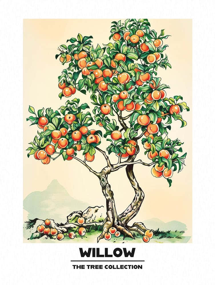 Willow Tree Storybook Illustration 1 Poster