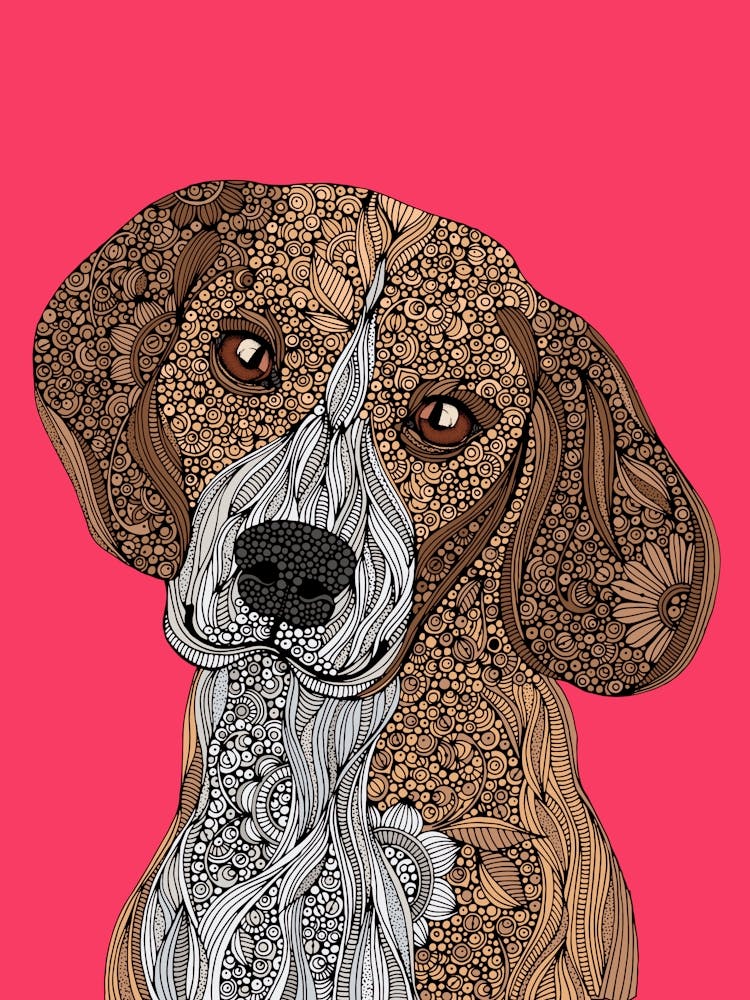 Bella the Beagle