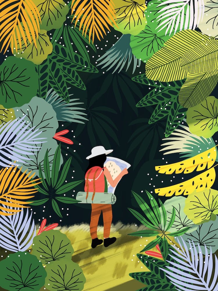 Adventure To The Unknown