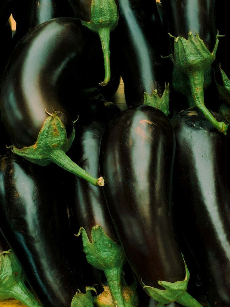 Aubergine Overload