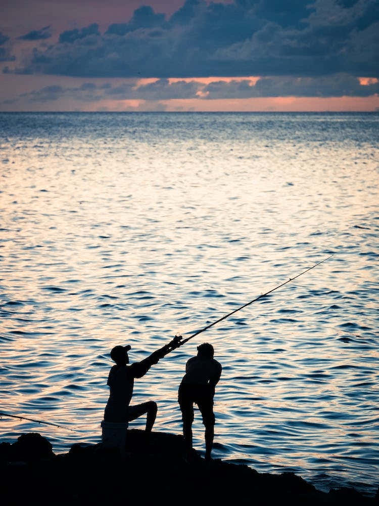 Sunset Sea Fishing