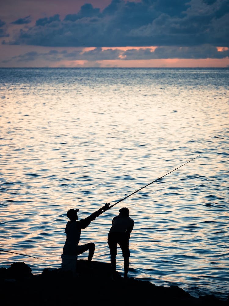 Sunset Sea Fishing