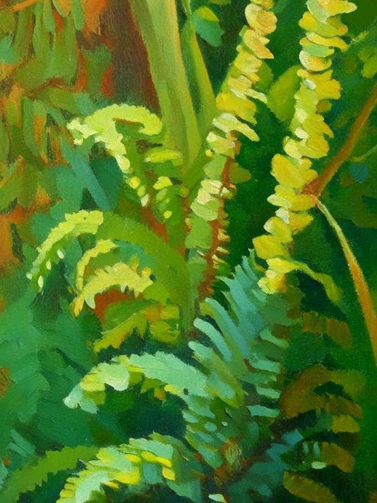 Common Horsetail Fern Cézanne Style