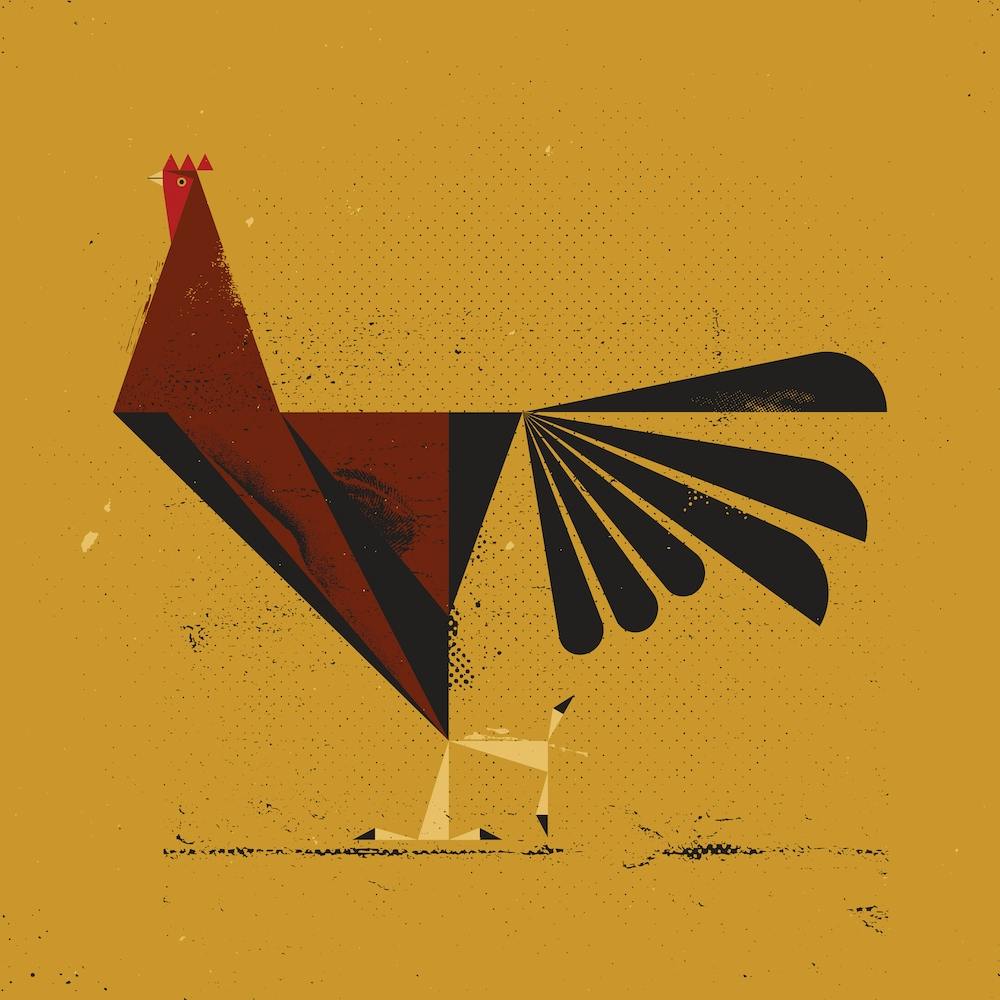 Rooster