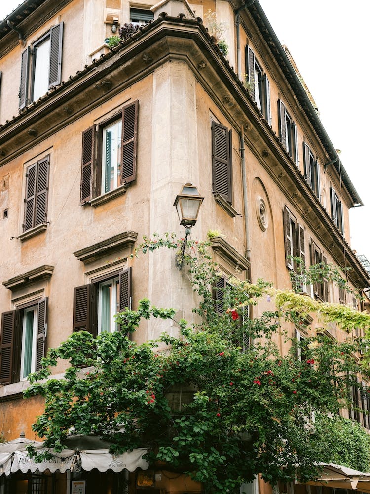 Botanical Trastevere Rome 2