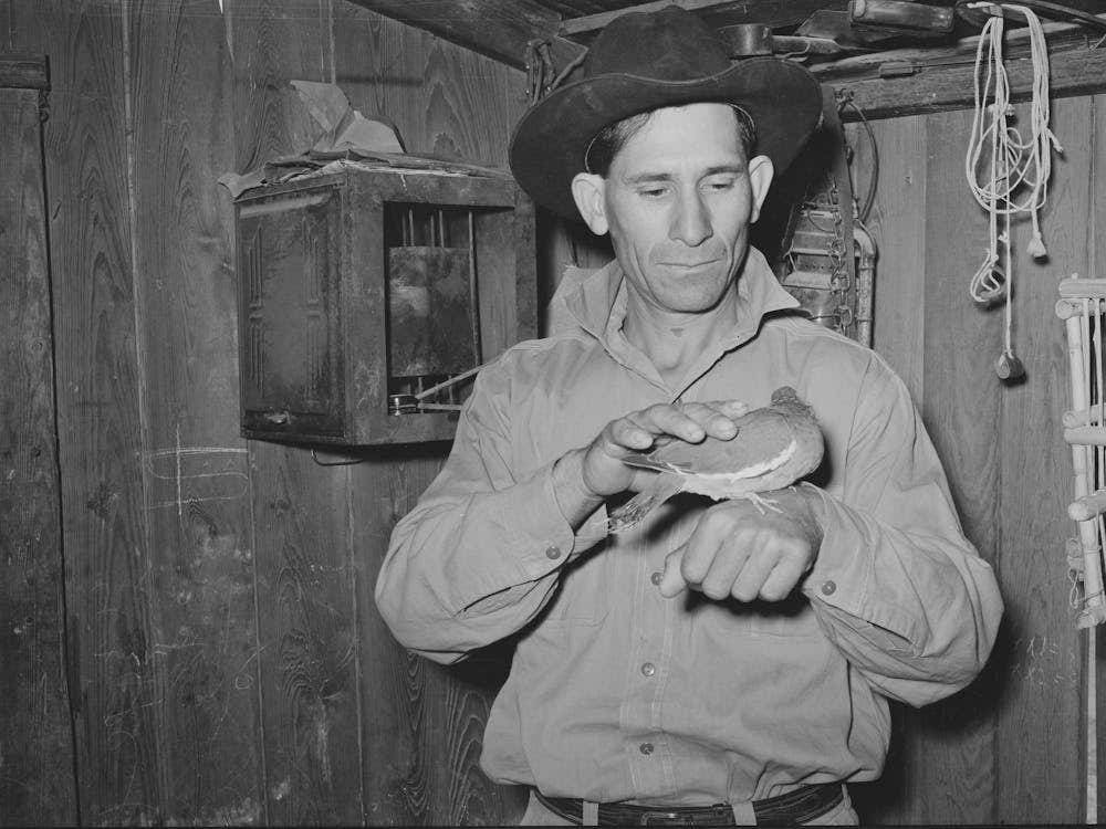Mexican With Pigeon, The Mexicans Are Great Lovers Of Birdsm Crystal City, Texas By Russell Lee