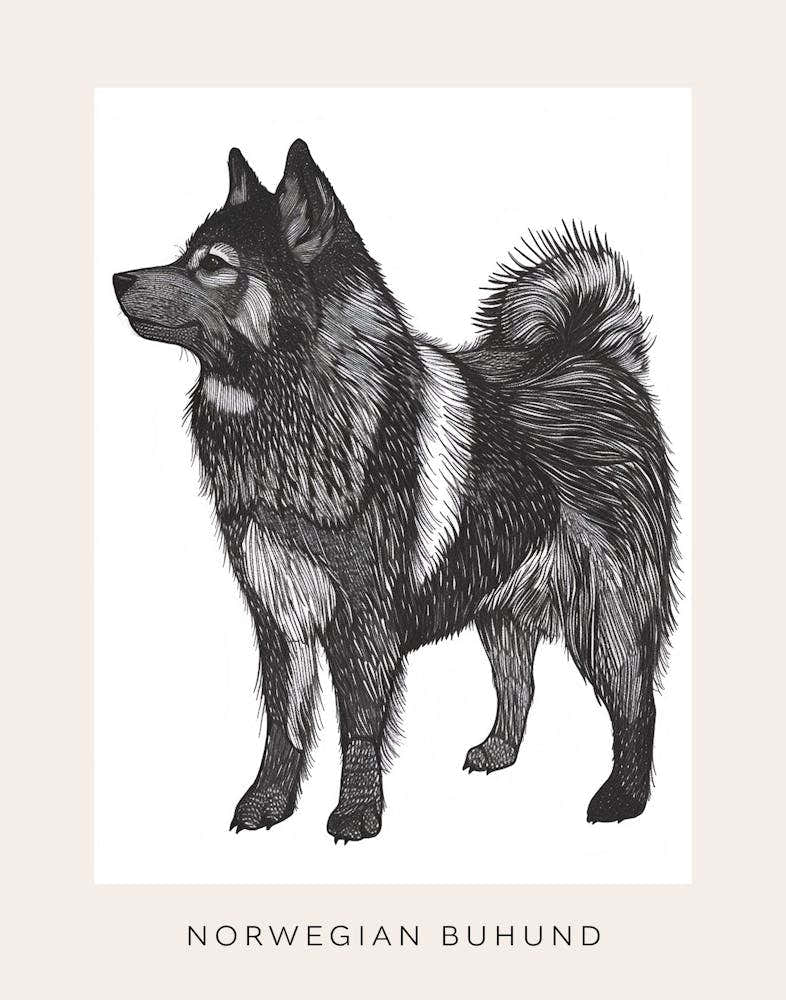Norwegian Buhund Dog Line Sketch Poster