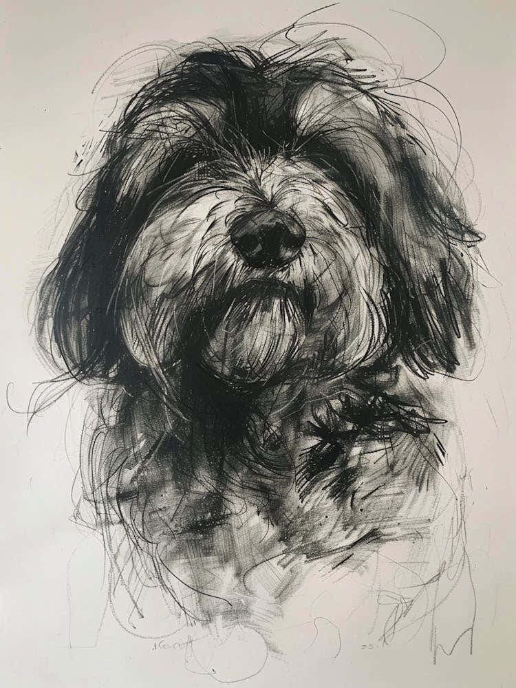 Polish Lowland Sheepdog Charcoal Line 1