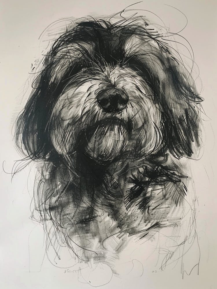 Polish Lowland Sheepdog Charcoal Line 1