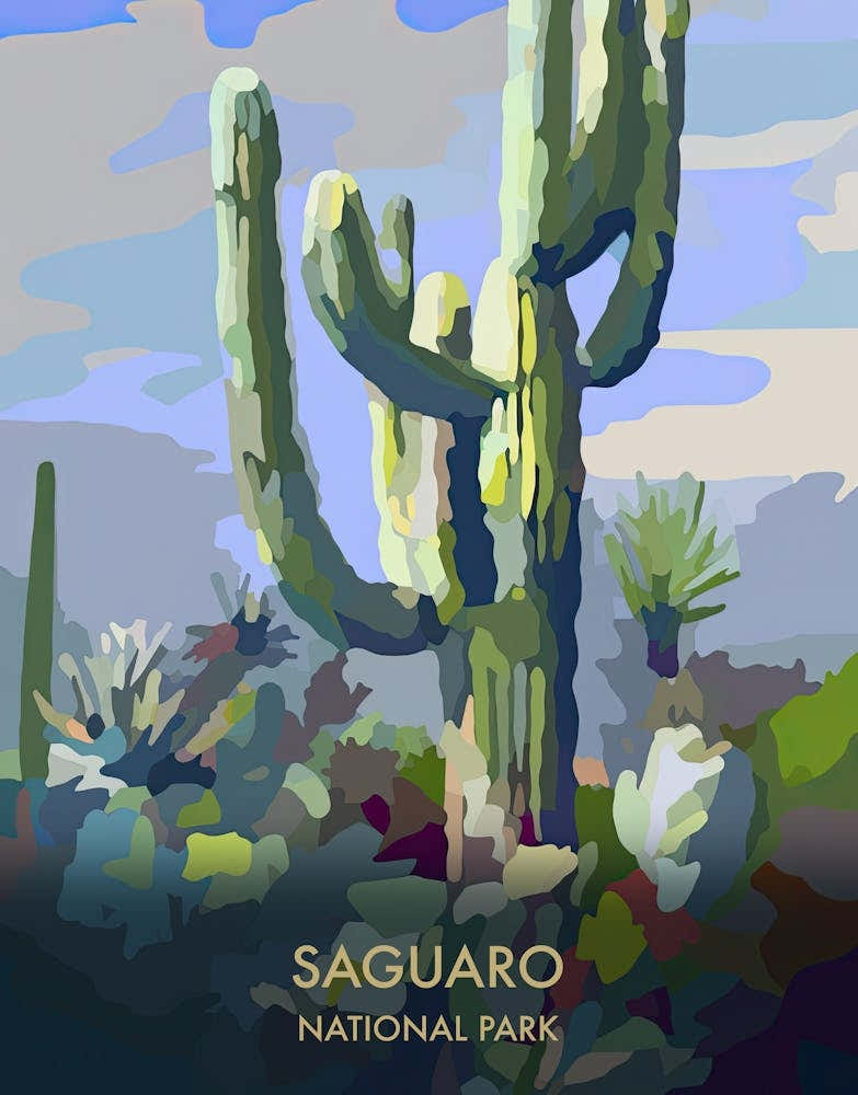 Saguaro National Park Travel Poster Matisse Style 1