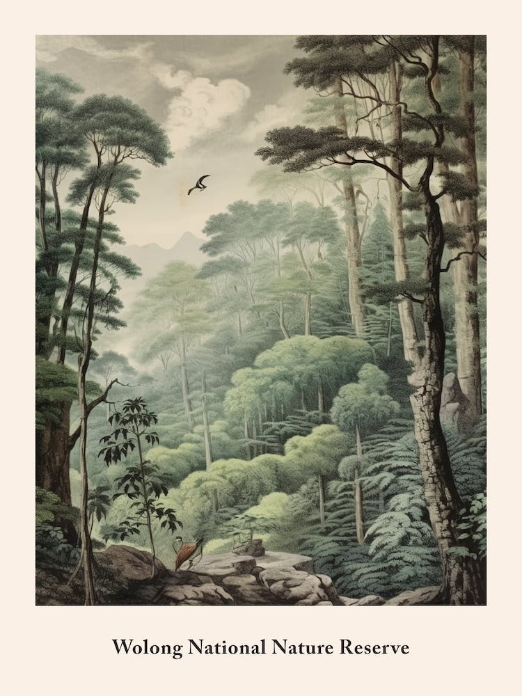 Wolong National Nature Reserve