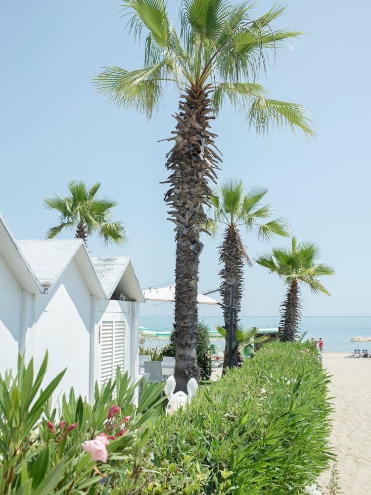 Mediterranean Beach Vibes - Italian Coast - Italy Travel Photography