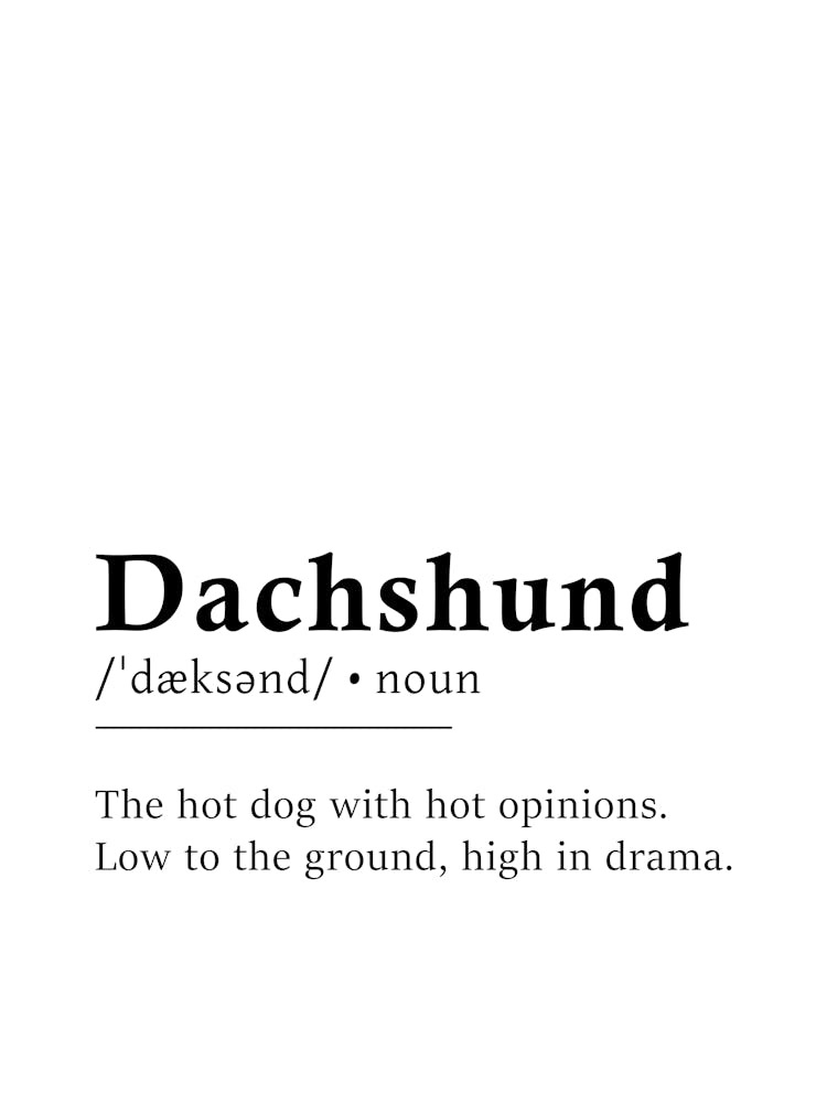 Dachshund Definition Poster - Dictionary