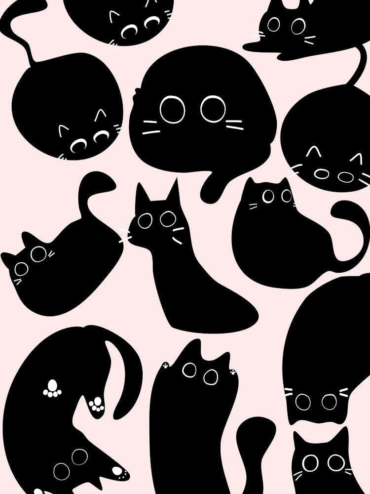 Cats Pattern