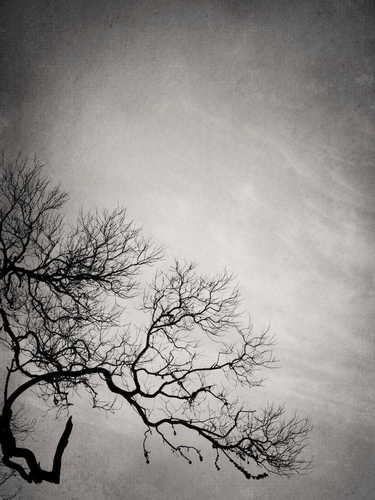 Mansion Of The Sky 1