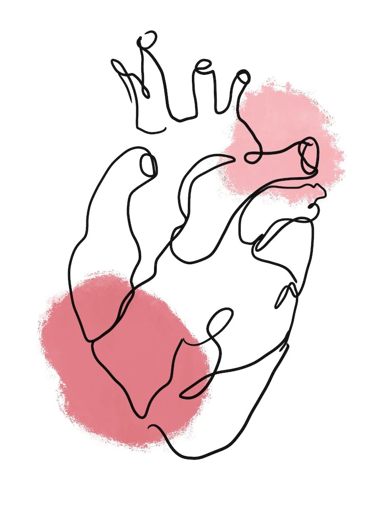 Heart Illustration 1
