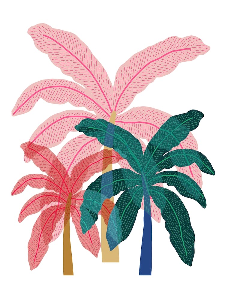 Trio Of Palms Pink