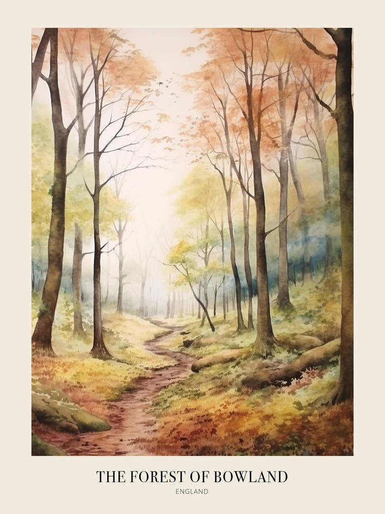 Autumn Forest Landscape The Forest Of Bowland England Poster