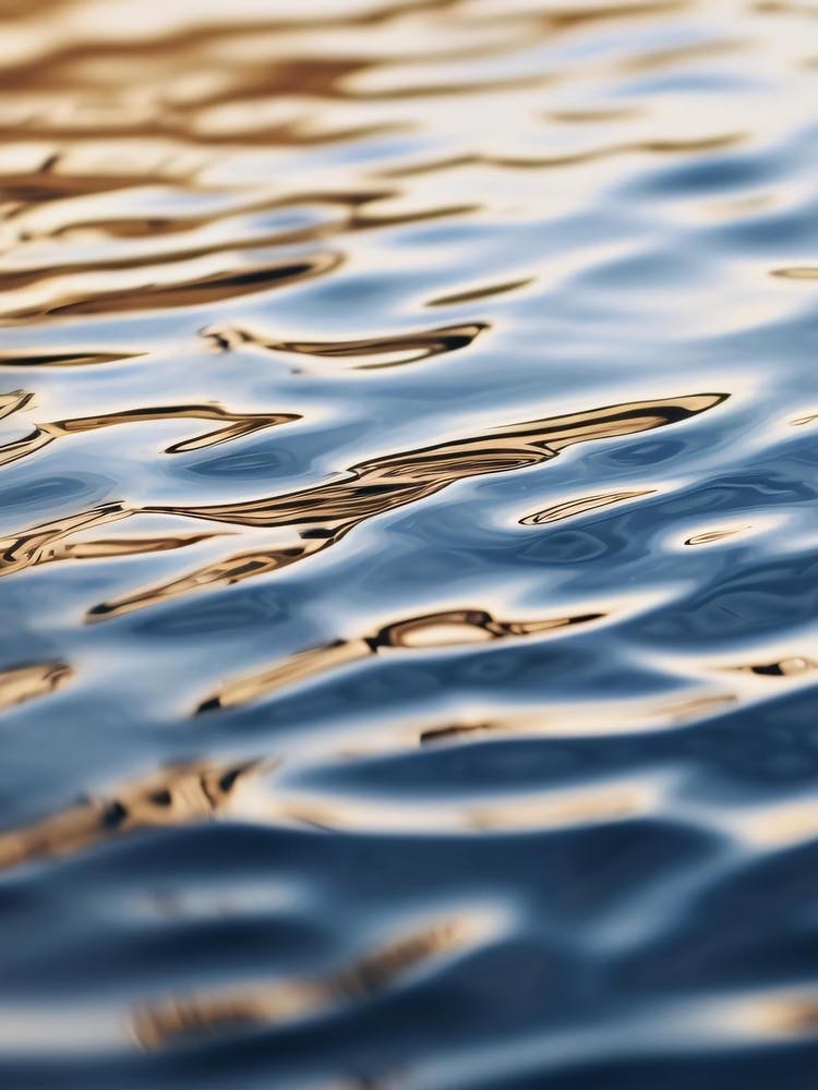 Reflections In Water