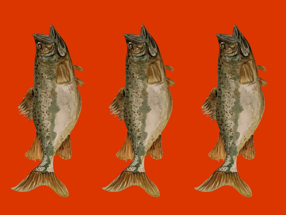 Three Green Fish Illustration