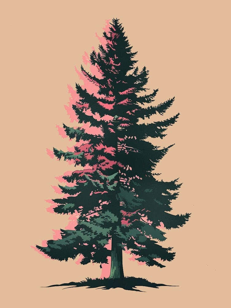 Cedar Tree Colourful Illustration 1 1