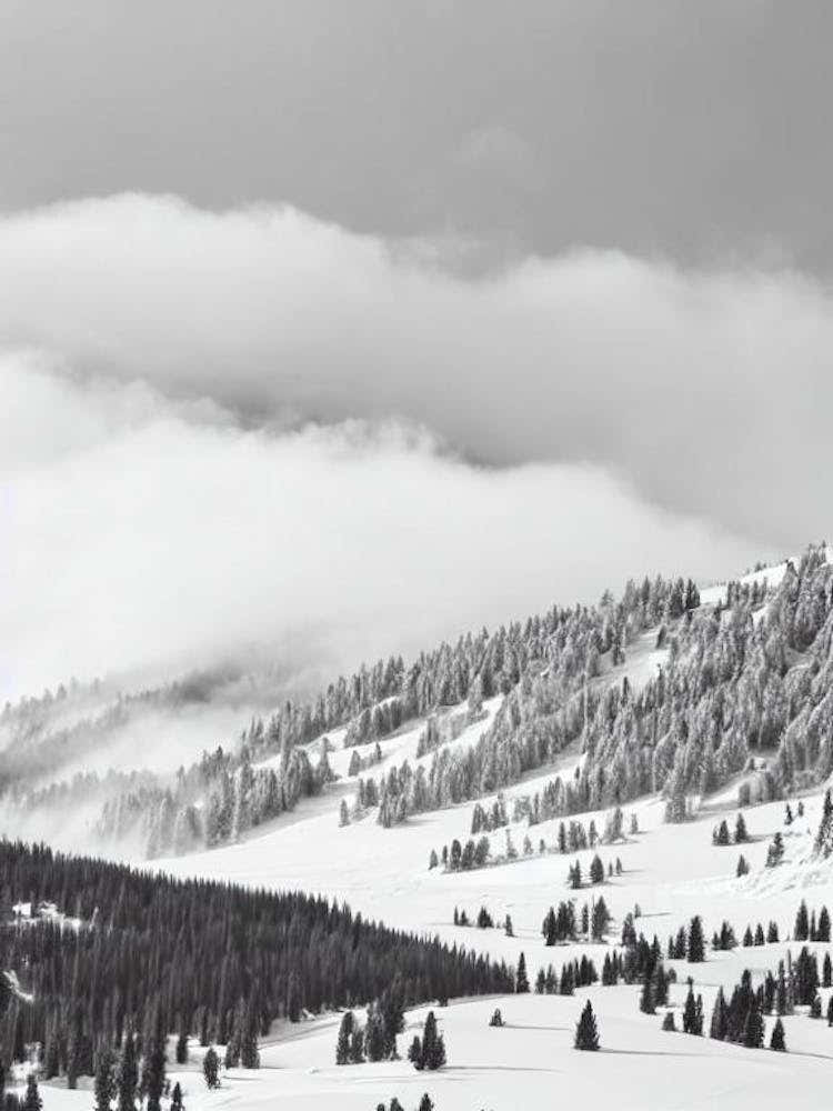 Heavenly, Usa Black And White Skiing Poster