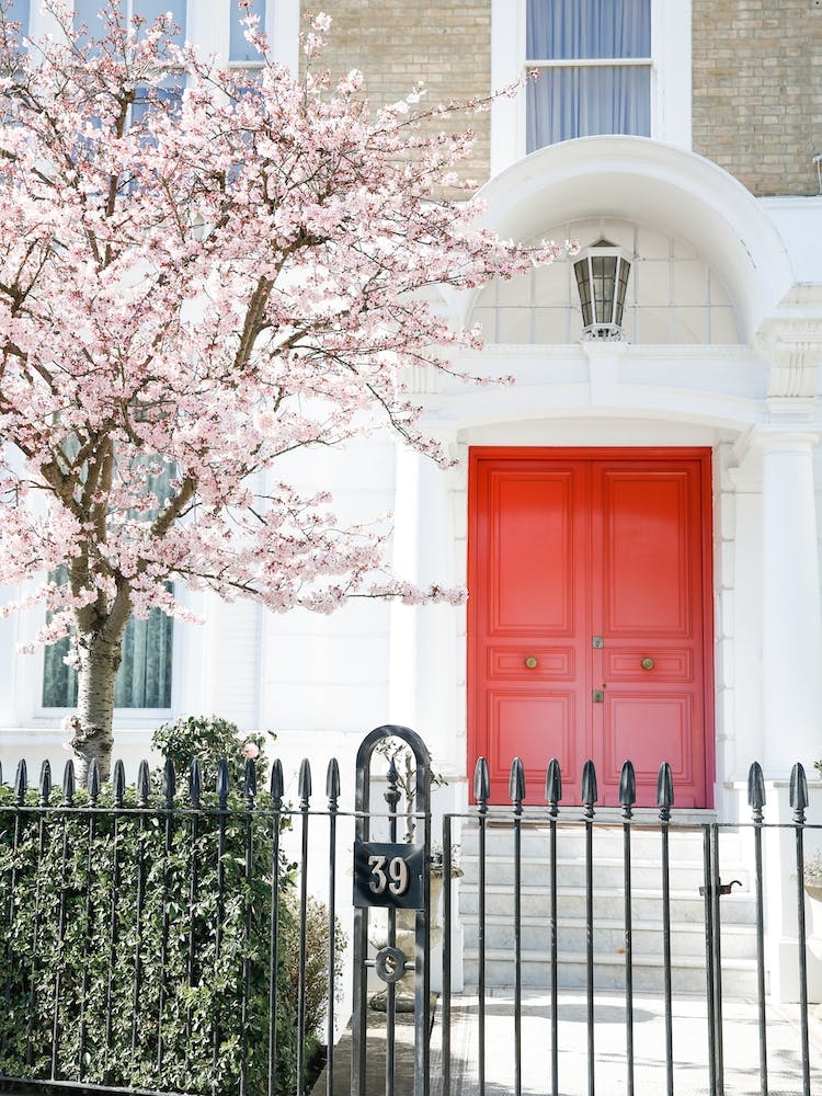 Blossom Doorway