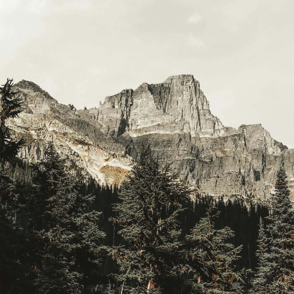 Mountain Forest Square