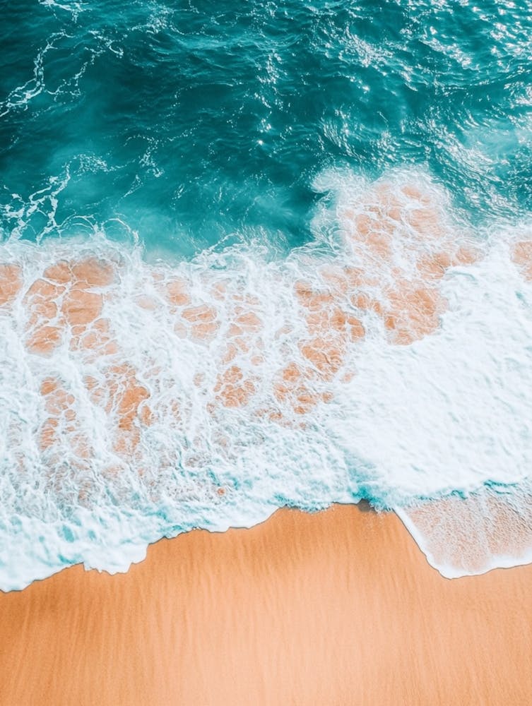 Beach - Beach Stock Videos & Royalty-Free Footage 6