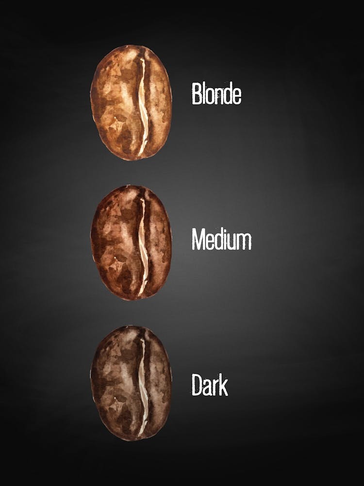 Coffee Beans — coffee poster, kitchen art print