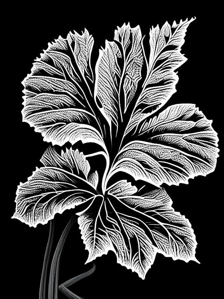 Mallow Leaf Linocut