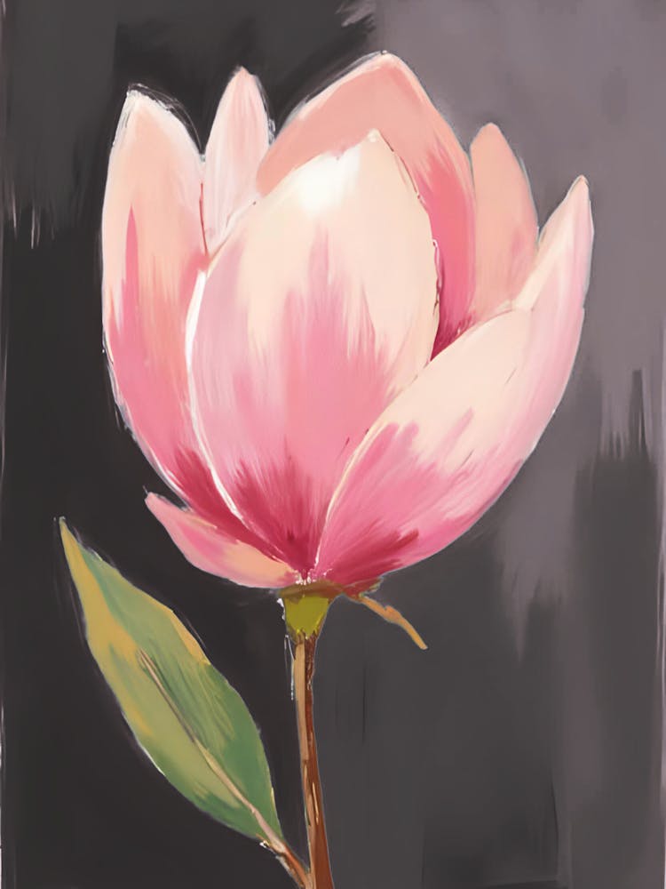 Magnolia 13