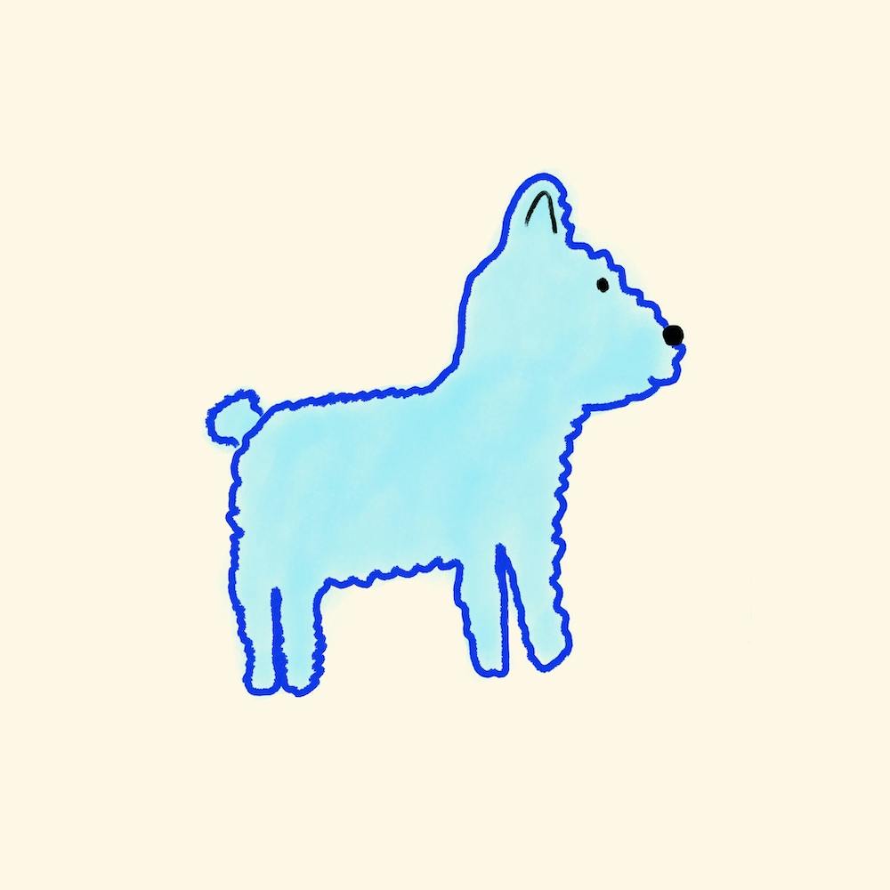 Blue dog 🦴