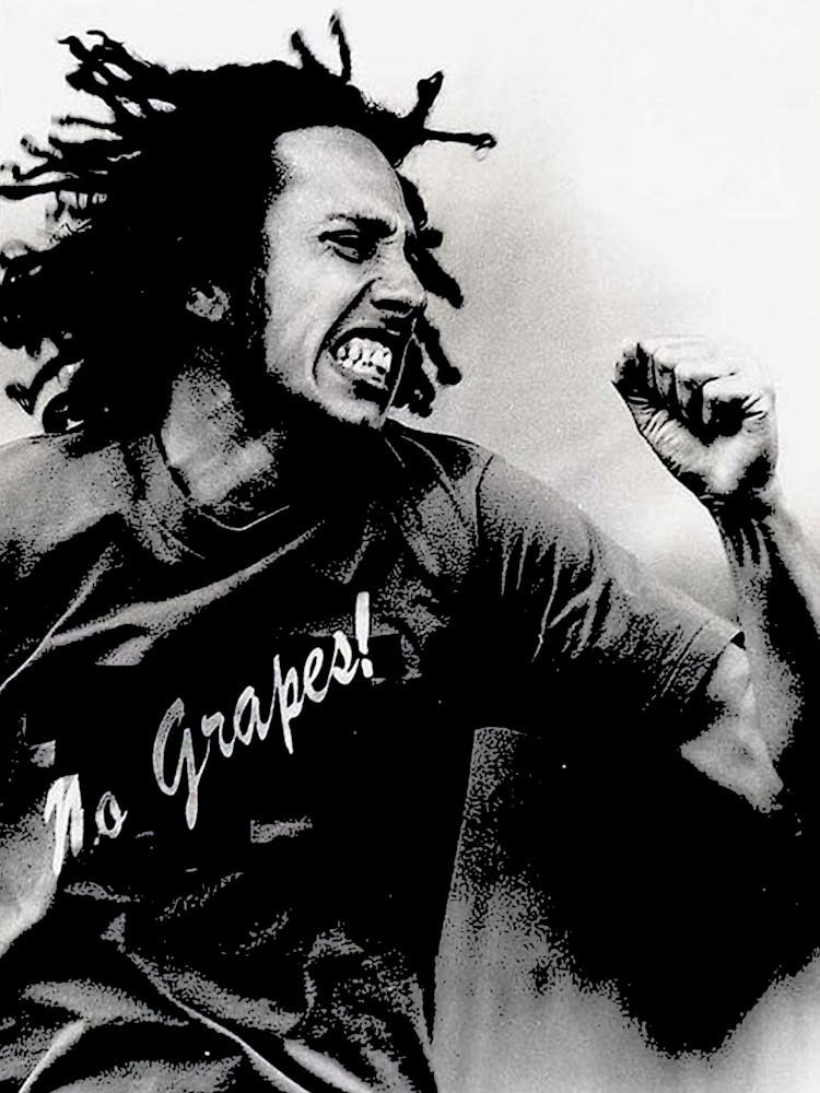 Zack de la Rocha Rage Against The Machine 6