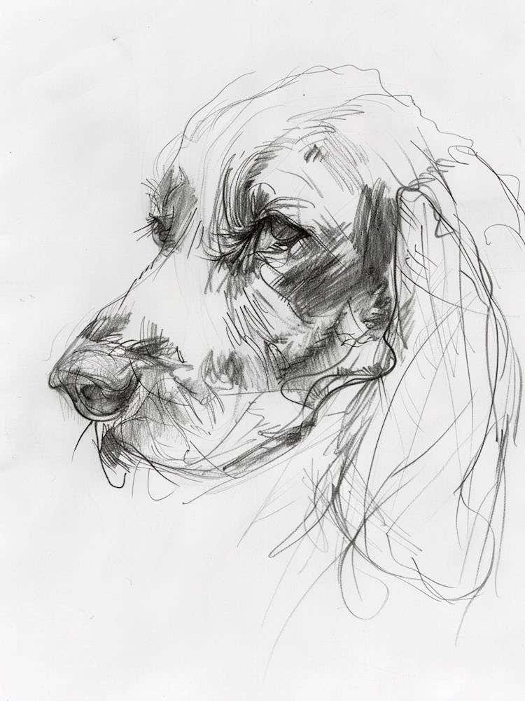 Cocker Spaniel Dog Charcoal Line 3