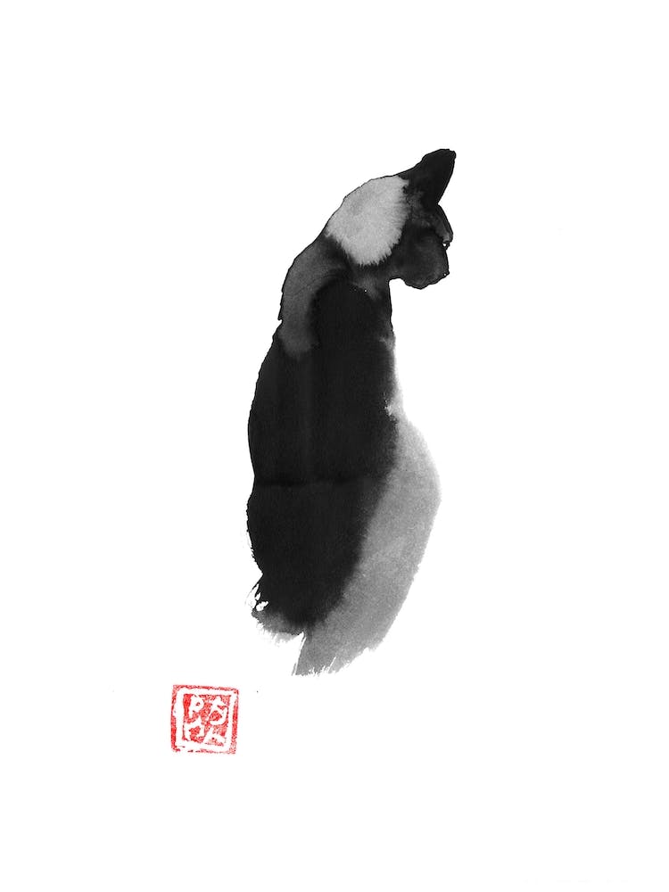 Cat Back