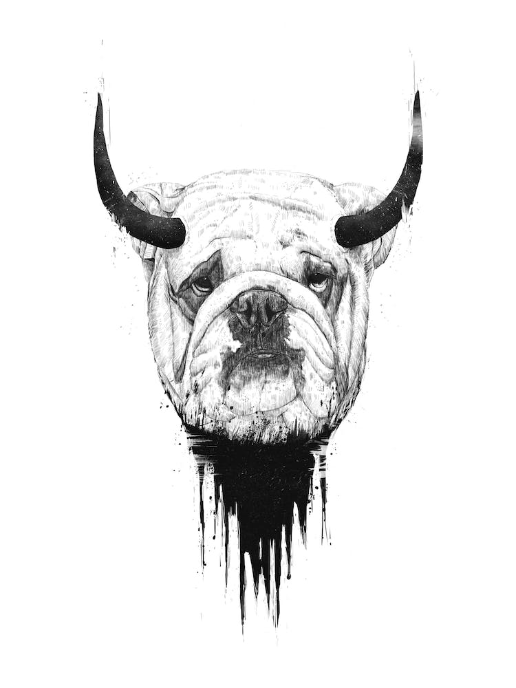 Bulldog