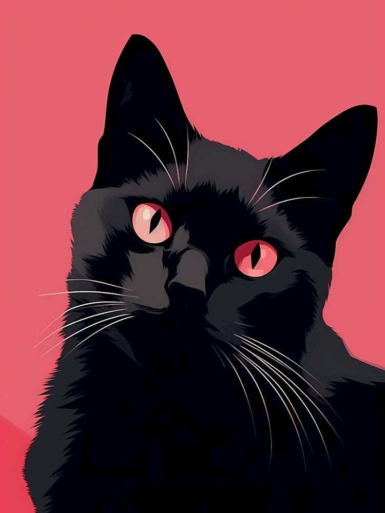 Black Cat Illustration on a Pink Background